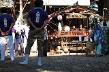 photoF-6