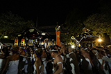 photoR-119