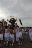 photoP-49