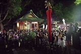 photoS-191